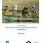 Indonesia Country Brief Towards sustainable development Financing
