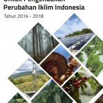 Pendanaan Publik Untuk Pengendalian Perubahan Iklim Indonesia