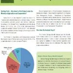 Policy Brief on CCBA Adaptation benefits in the Agricultural Sector (ENG)