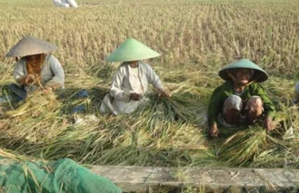 Indonesia Country Brief Towards sustainable