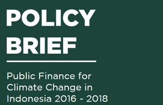 Public Finance for Climate Change
