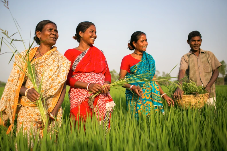 Climate Change Adaptation Rights of